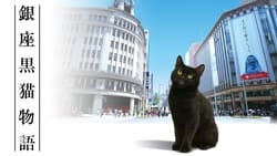 Ginza Black Cat Story